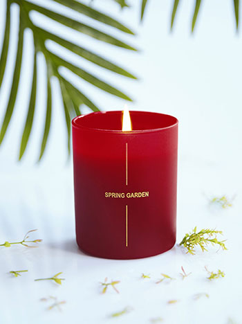 ΕΣΠΕΡΙΔΟΕΙΔΗ αρωματικό κερί 9εκ CA1058+1