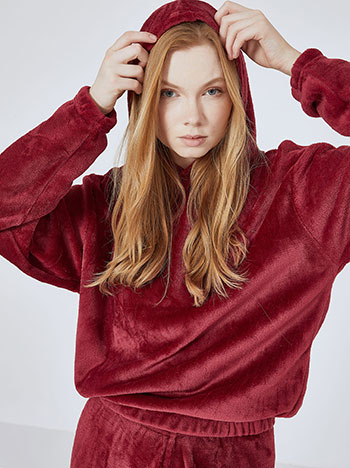 Σετ φόρμας fleece με κουκούλα WR1019.0111+6 φωτογραφία